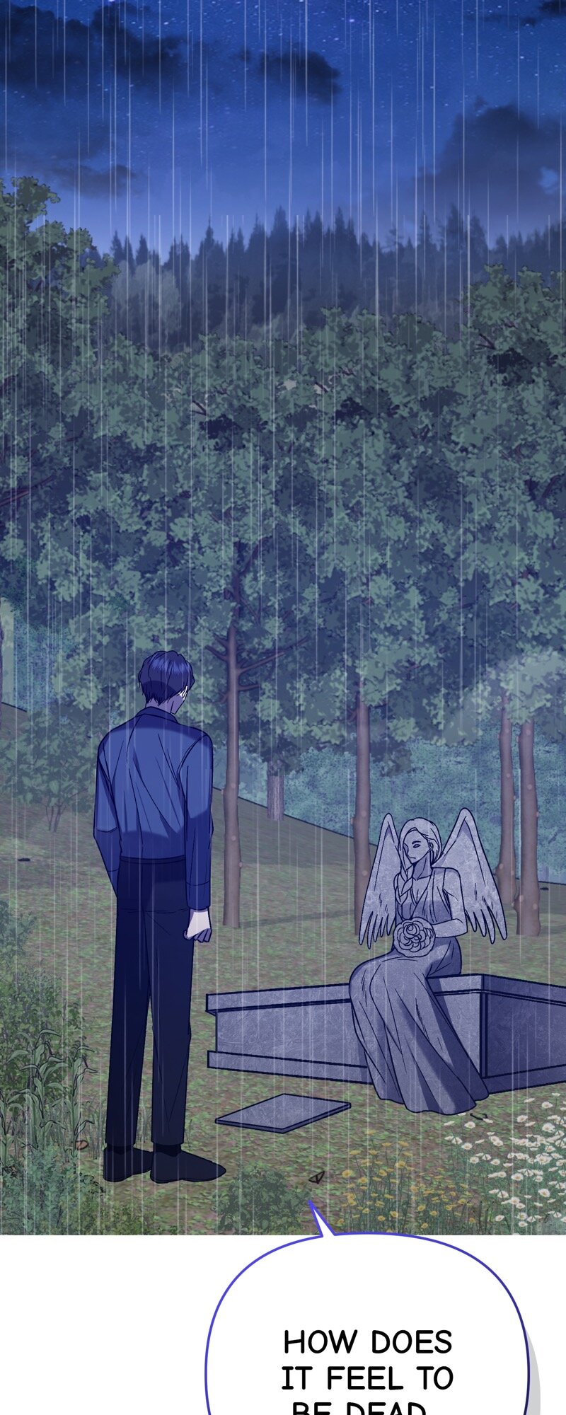 52882361 800 2000 327493