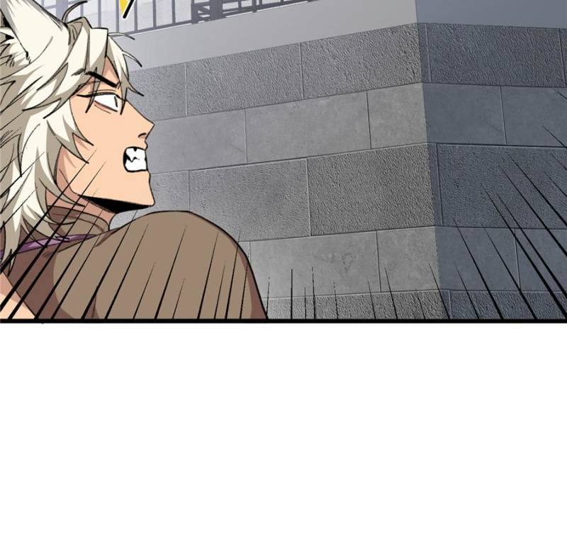 80676574 800 765 62582